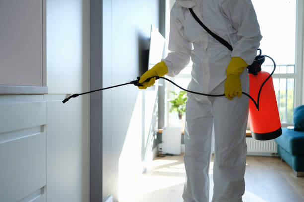 Best Commercial Mold Removal  in Ruhenstroth, NV