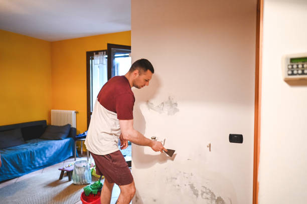 Best Black Mold Removal  in Ruhenstroth, NV